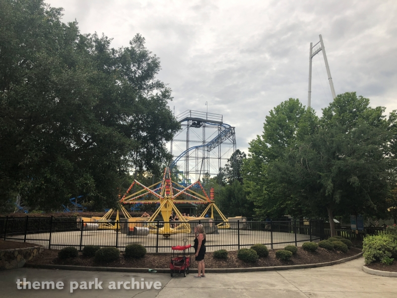 Whirling Wildcats at Wild Adventures