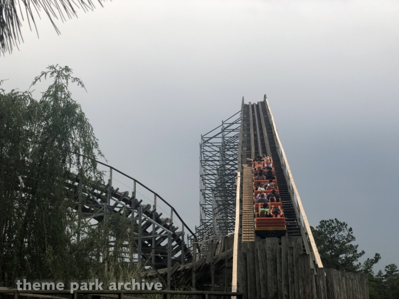 Cheetah at Wild Adventures