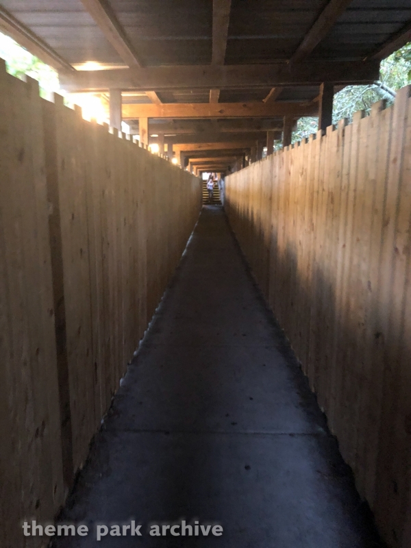 Cheetah at Wild Adventures