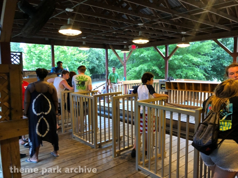 Cheetah at Wild Adventures