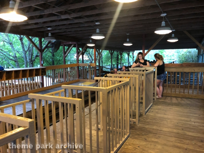 Cheetah at Wild Adventures