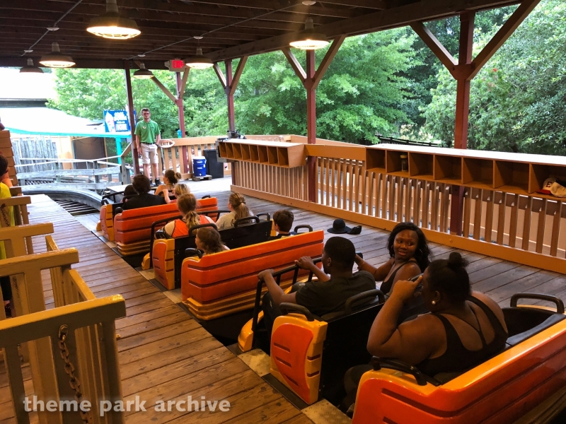 Cheetah at Wild Adventures