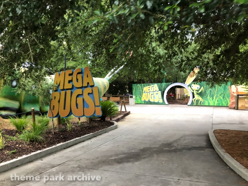 Mega Bugs at Wild Adventures