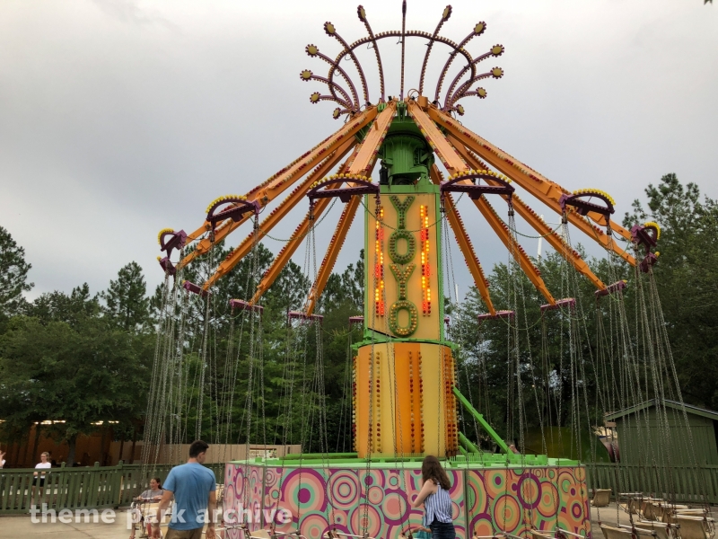 Yo Yo at Wild Adventures