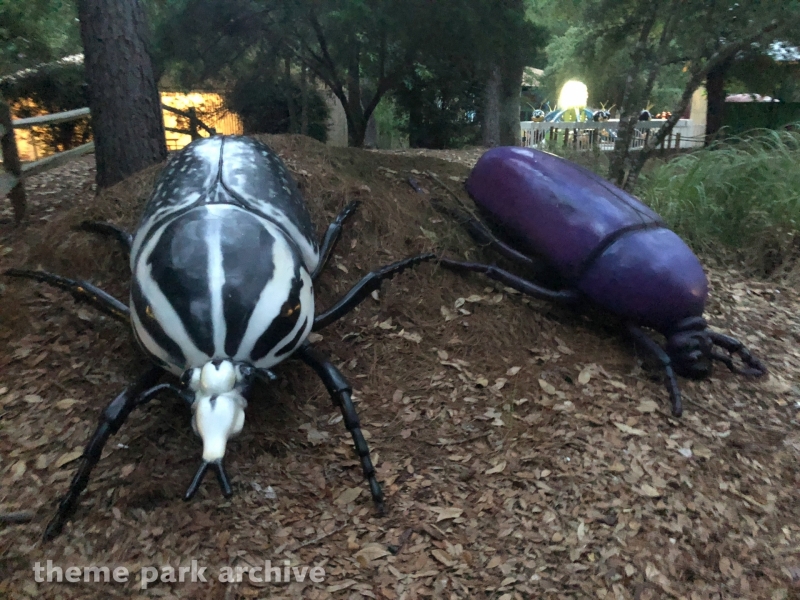 Mega Bugs at Wild Adventures