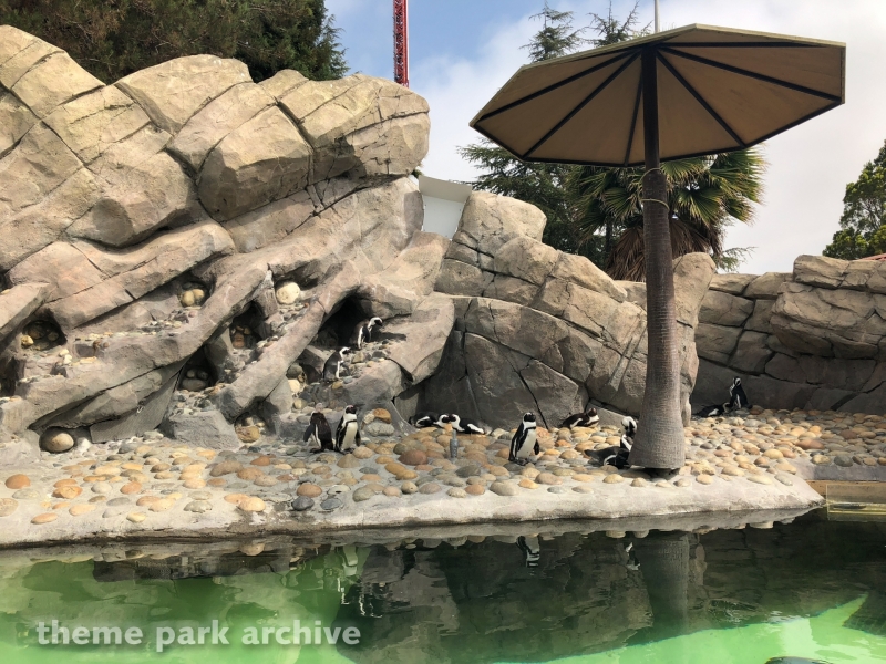 Penguin Passage at Six Flags Discovery Kingdom