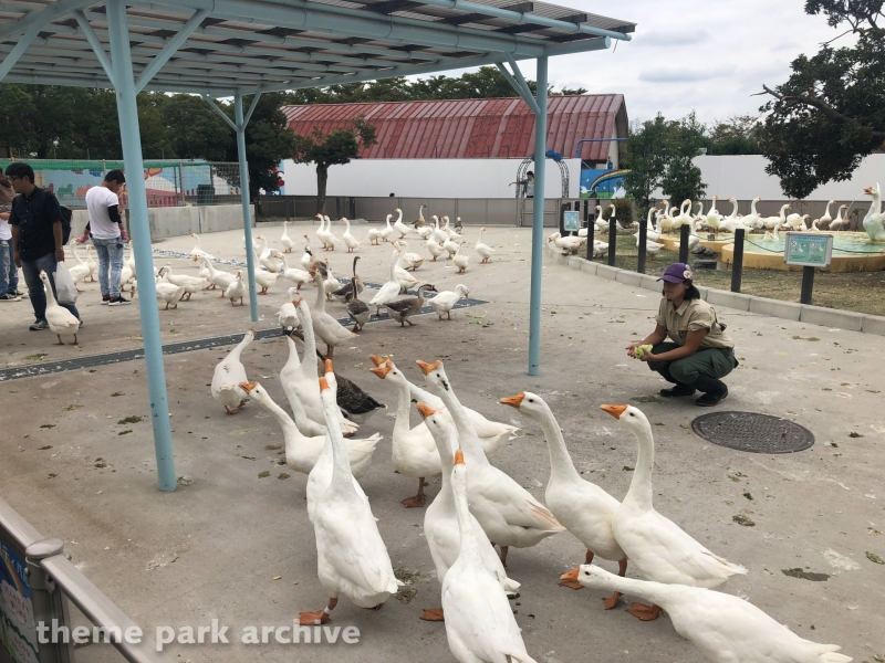 Goose Square at Tobu Zoo