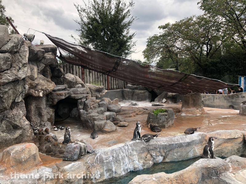 Penguin Land at Tobu Zoo