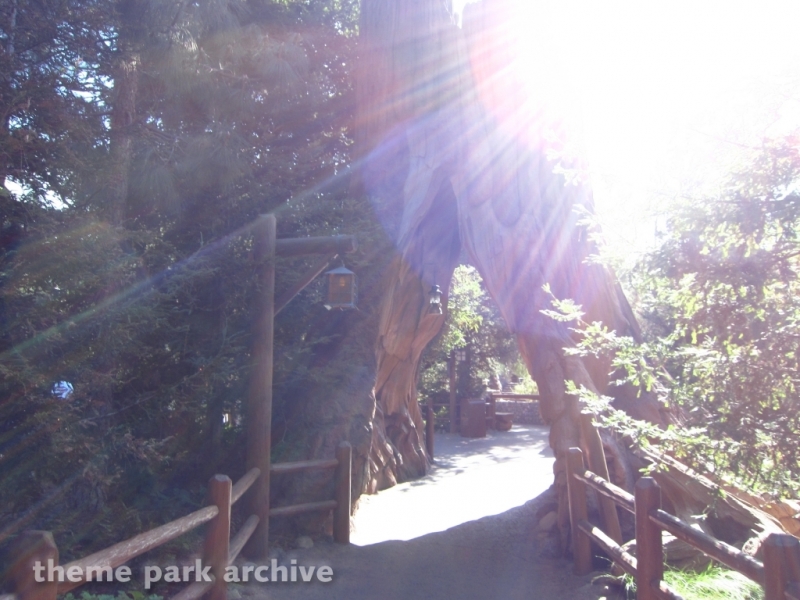 Redwood Creek Challenge Trail at Disney California Adventure