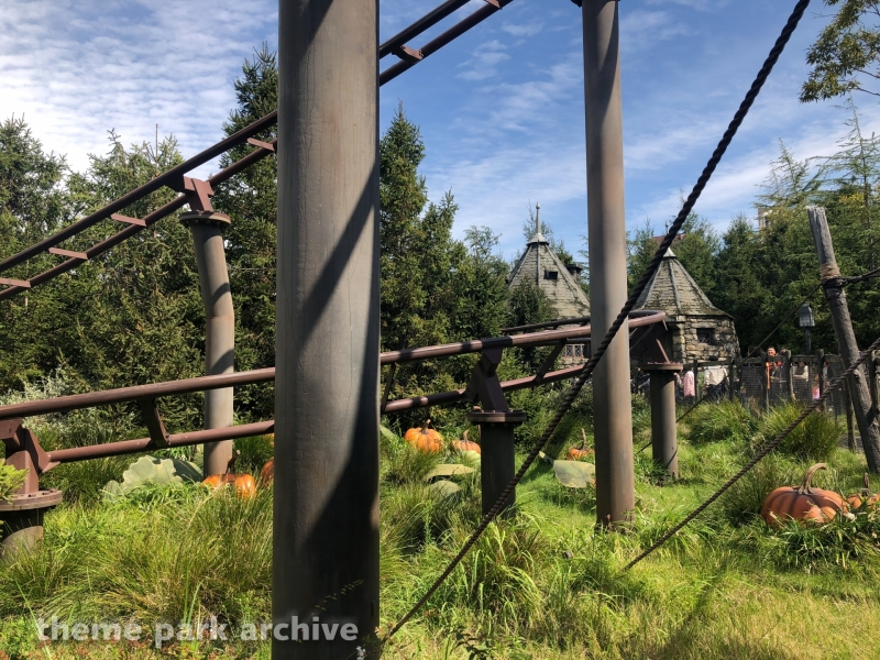 Flight of the Hippogriff at Universal Studios Japan