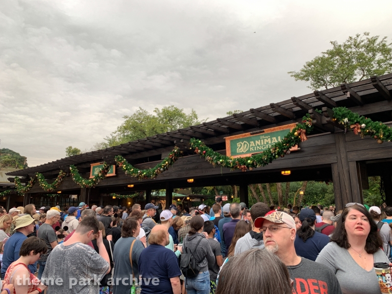 Entrance at Disney's Animal Kingdom