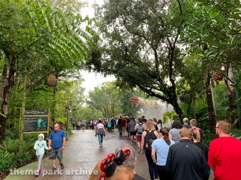 Oasis at Disney's Animal Kingdom