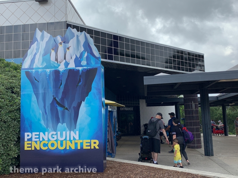 Penguin Encounter at SeaWorld San Antonio