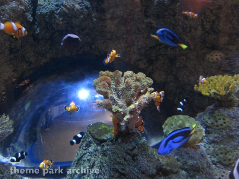 Sea Life Aquarium at LEGOLAND California