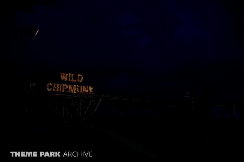 Wild Chipmunk at Lakeside Amusement Park