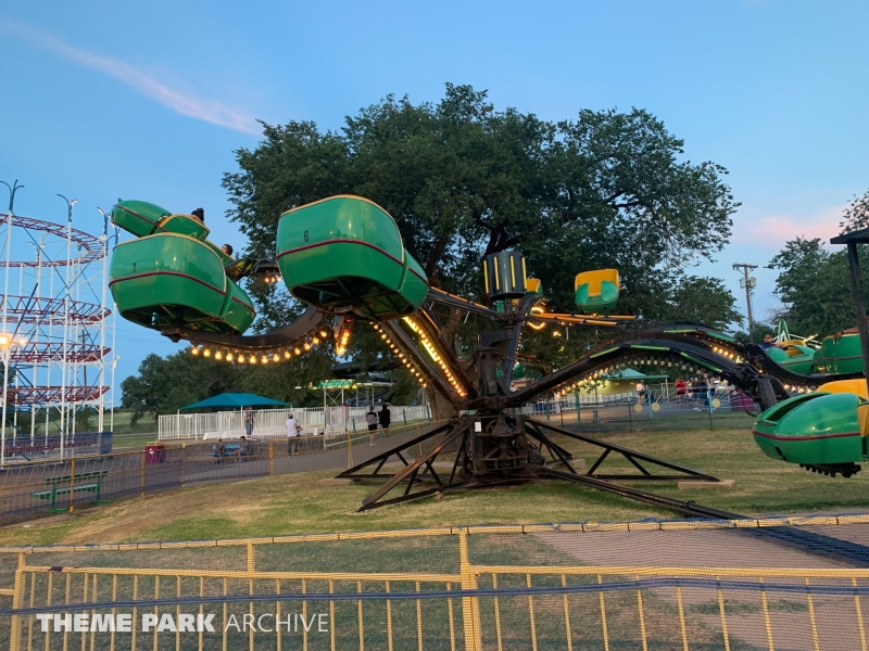 Spider at Joyland Amusement Park