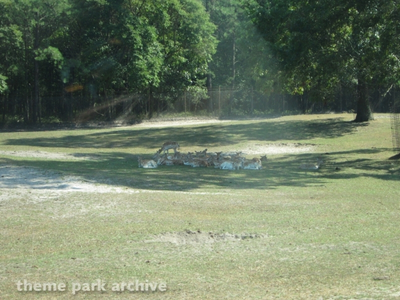 Wild Safari at Six Flags Great Adventure