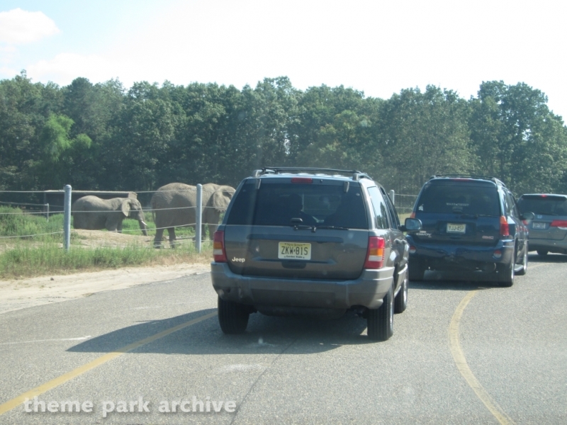 Wild Safari at Six Flags Great Adventure