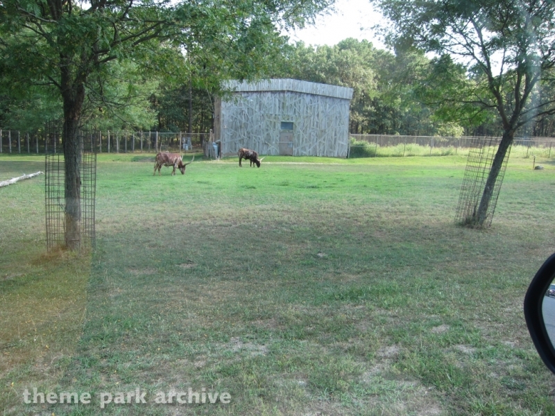 Wild Safari at Six Flags Great Adventure