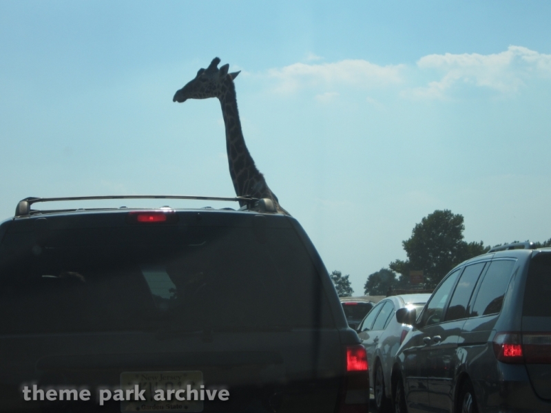 Wild Safari at Six Flags Great Adventure