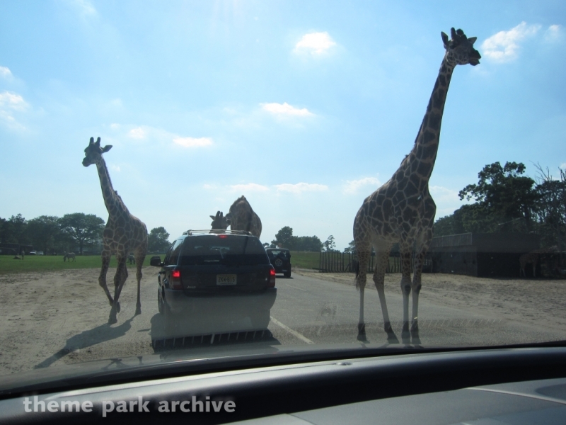 Wild Safari at Six Flags Great Adventure