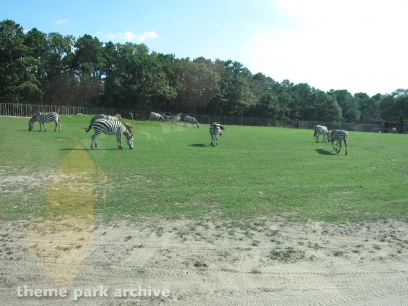 Wild Safari at Six Flags Great Adventure