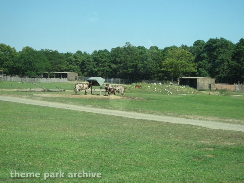 Wild Safari at Six Flags Great Adventure