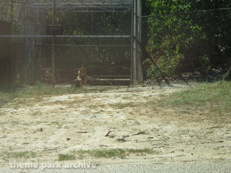 Wild Safari at Six Flags Great Adventure