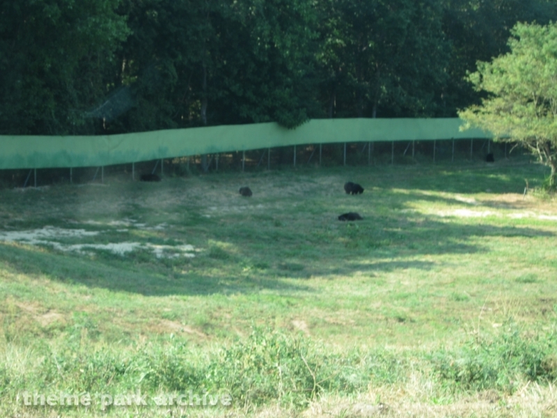 Wild Safari at Six Flags Great Adventure