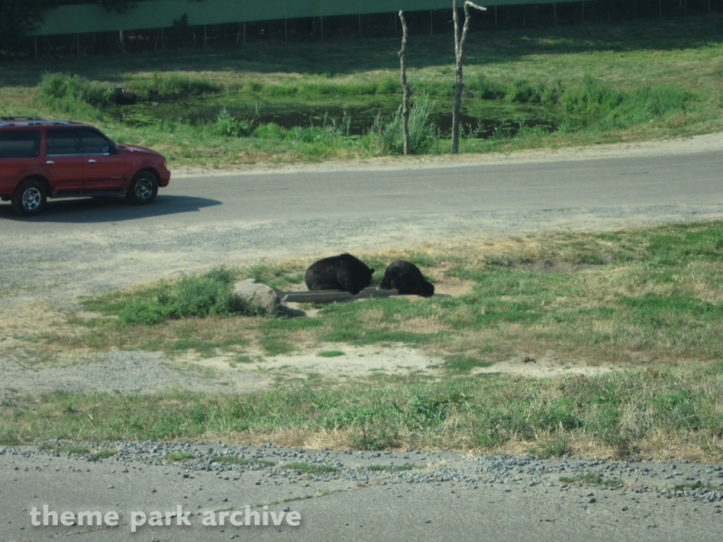 Wild Safari at Six Flags Great Adventure