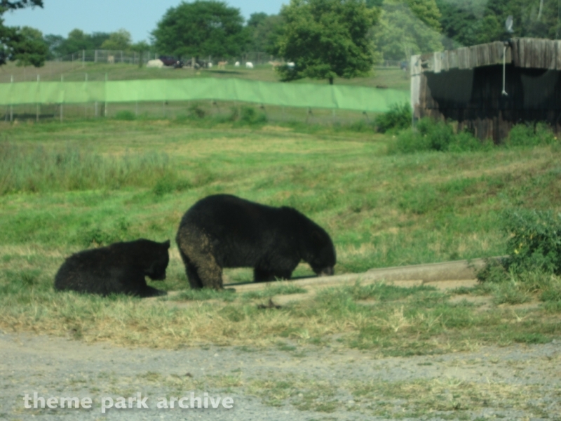 Wild Safari at Six Flags Great Adventure
