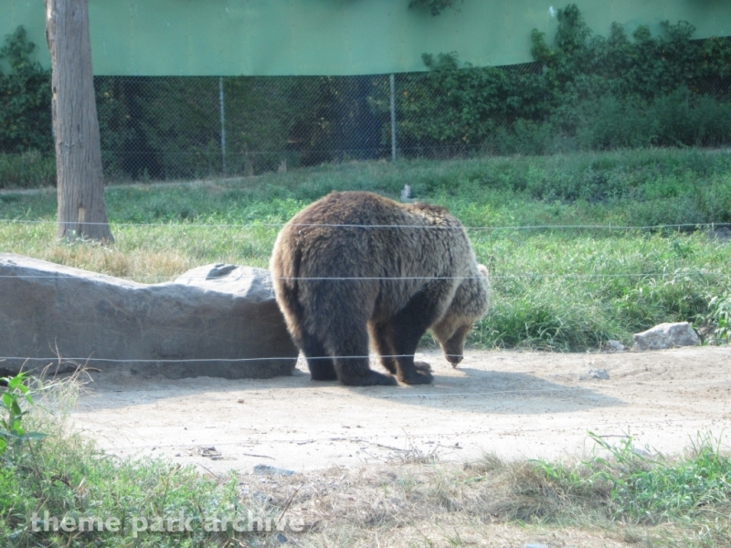 Wild Safari at Six Flags Great Adventure