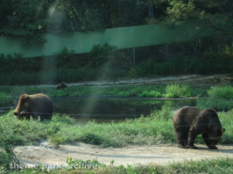 Wild Safari at Six Flags Great Adventure