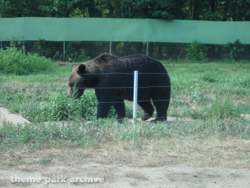 Wild Safari at Six Flags Great Adventure