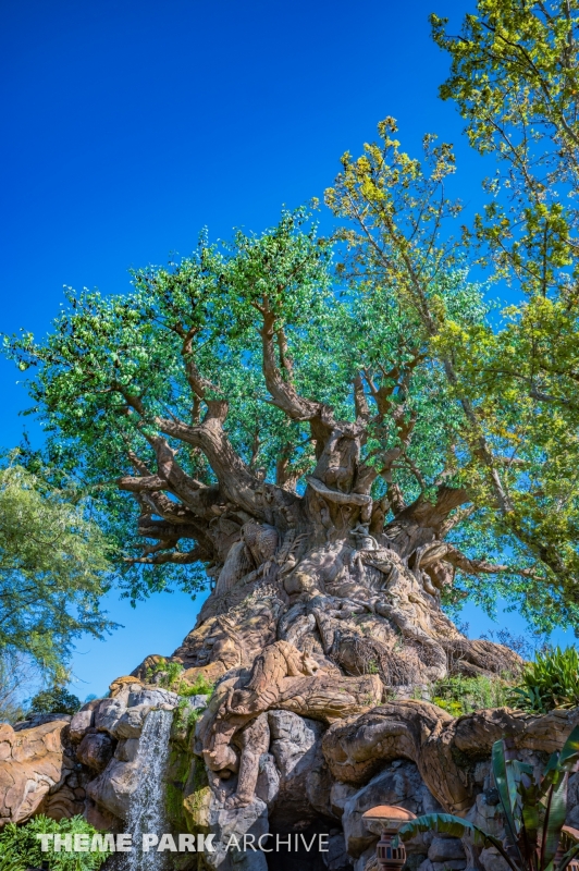 Discovery Island at Disney's Animal Kingdom