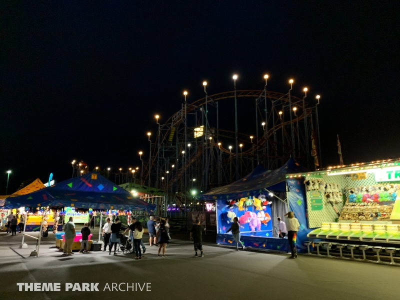 Wild Cat at Washington State Fair