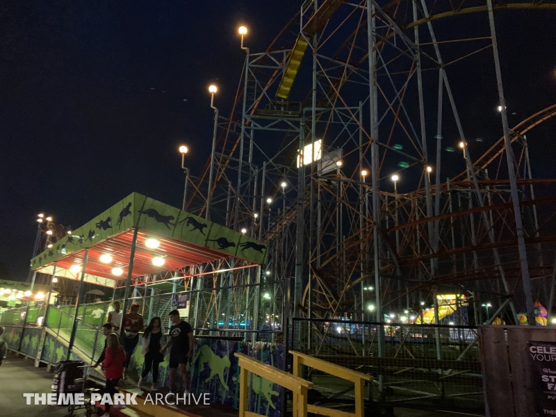 Wild Cat at Washington State Fair