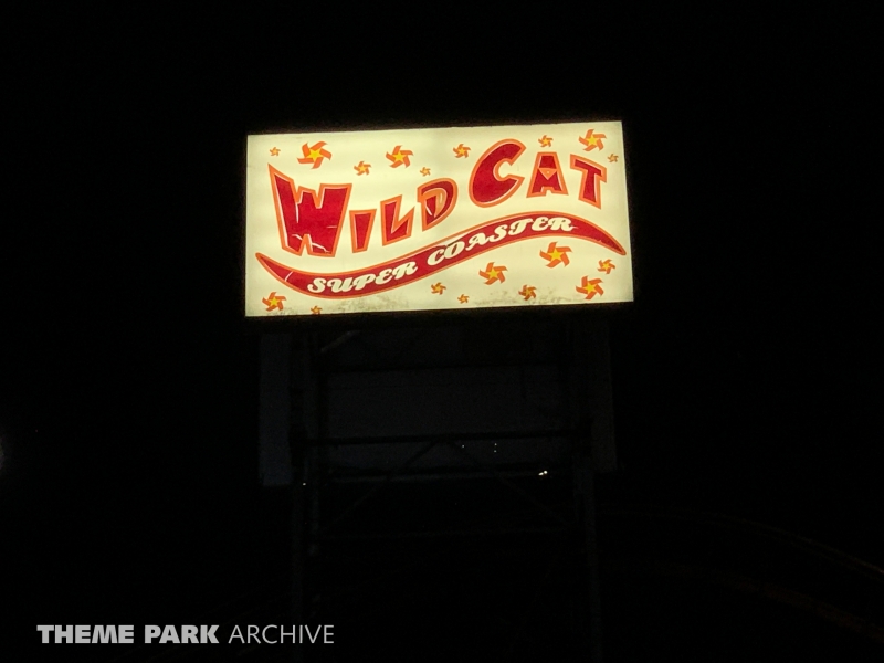 Wild Cat at Washington State Fair