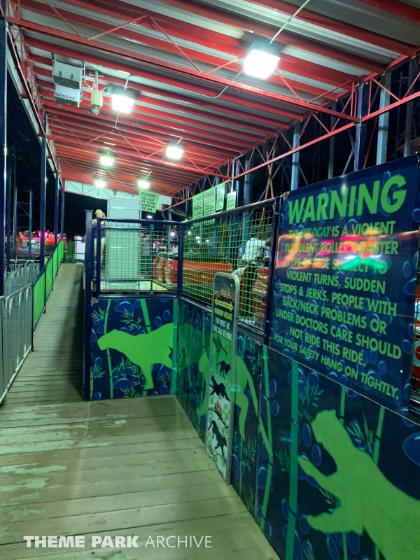 Wild Cat at Washington State Fair