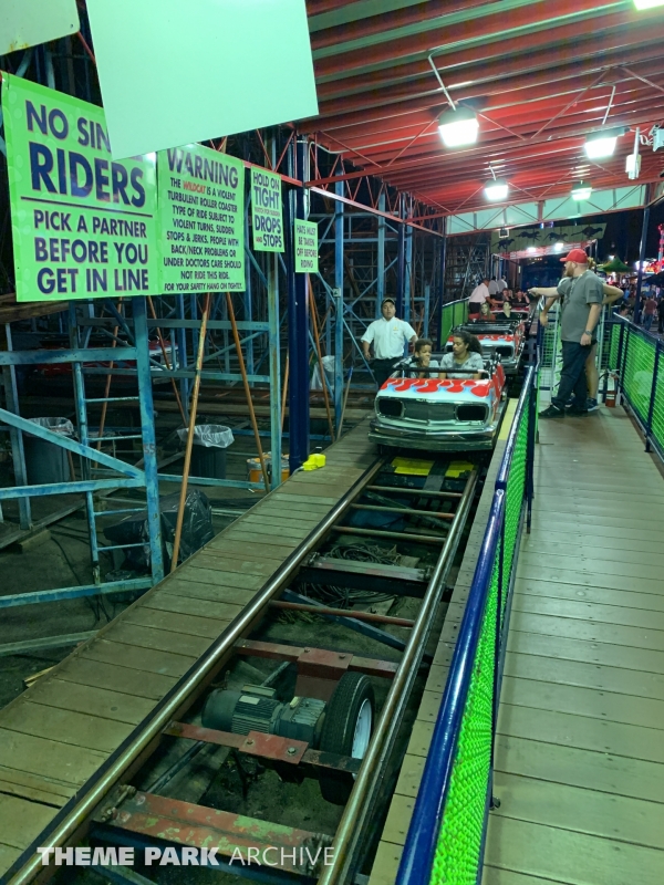 Wild Cat at Washington State Fair