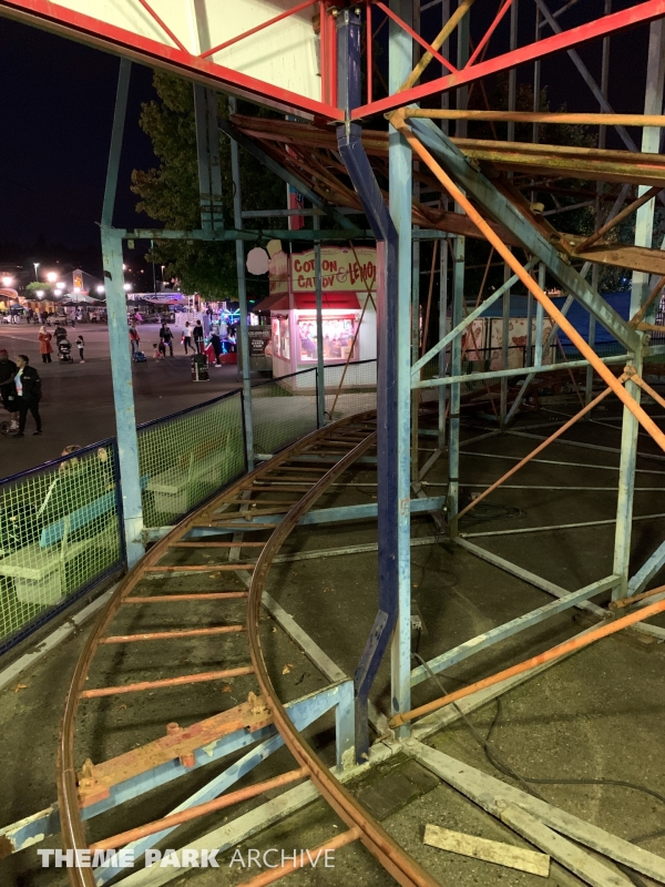 Wild Cat at Washington State Fair