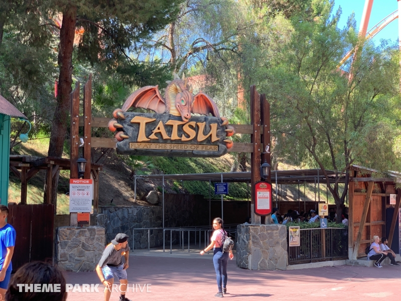 Tatsu at Six Flags Magic Mountain