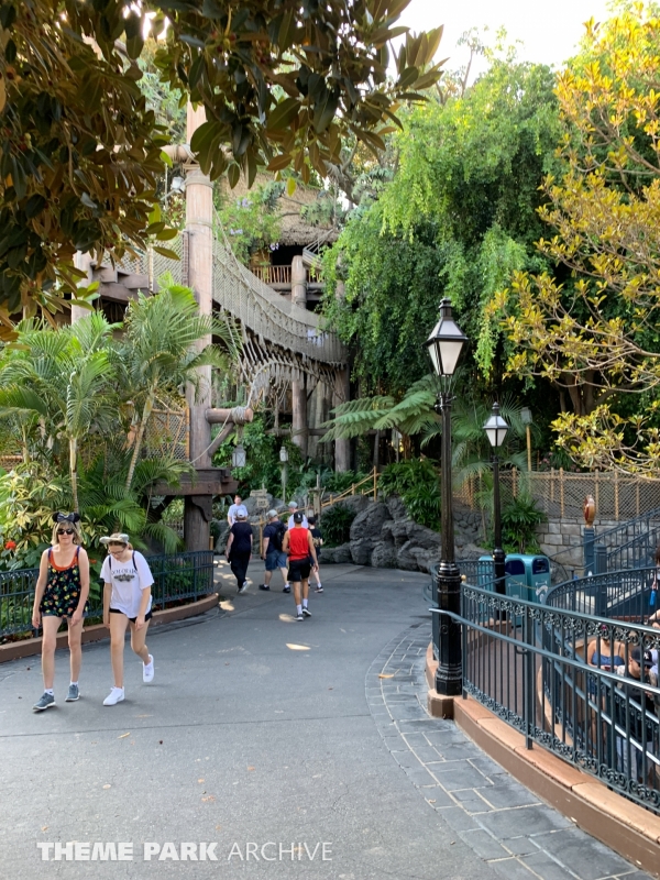 Tarzan's Treehouse at Disneyland