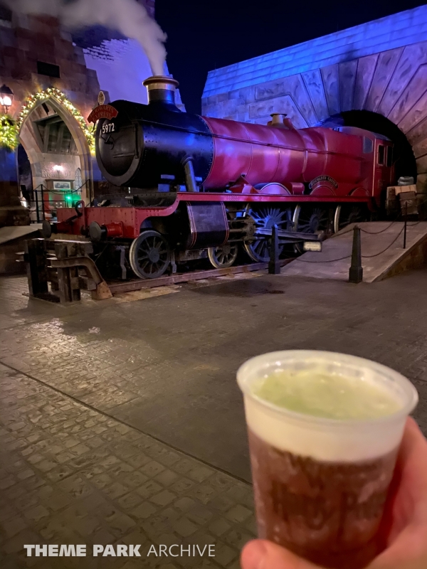 The Wizarding World of Harry Potter Hogsmeade at Universal Islands of Adventure