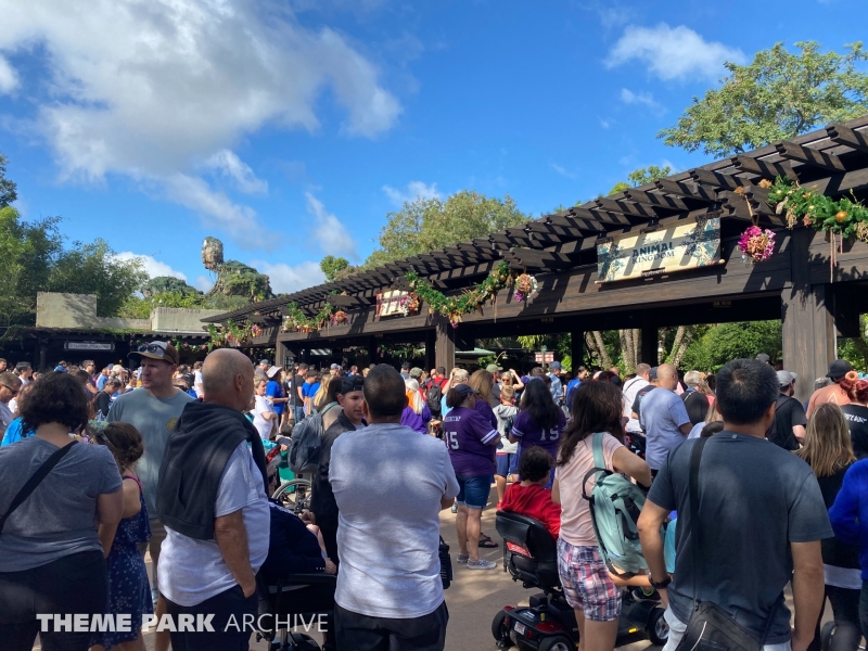 Entrance at Disney's Animal Kingdom