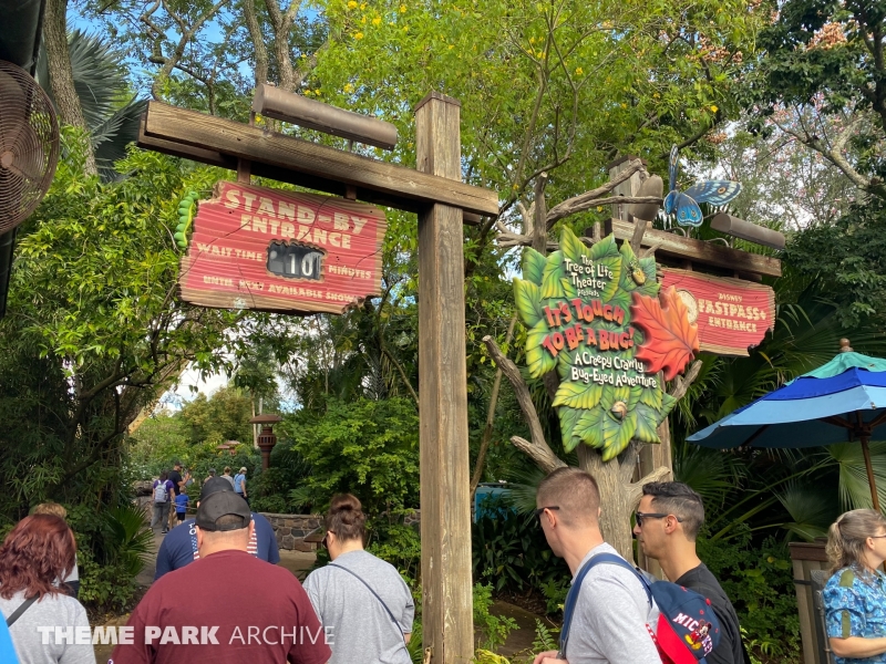 It's Tough to be a Bug at Disney's Animal Kingdom