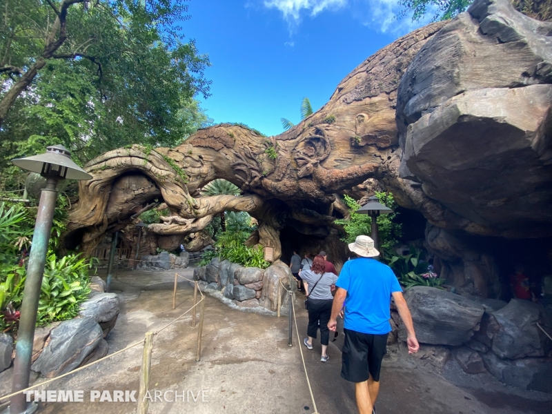It's Tough to be a Bug at Disney's Animal Kingdom