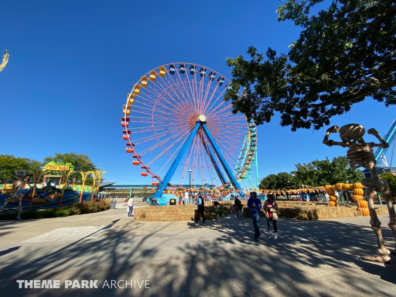 Giant Wheel at Cedar Point