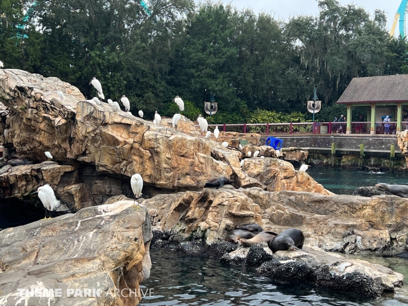 Pacific Point Preserve at SeaWorld Orlando