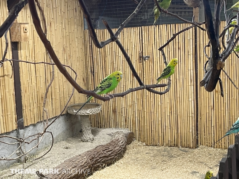 Parakeet Paradise at Santa’s Village Amusement & Water Park